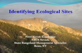 Patti Novak -Echenique NRCS Nevada State Rangeland Management