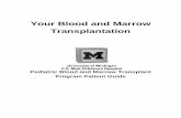 Your Blood and Marrow Transplantation - University of Michigan