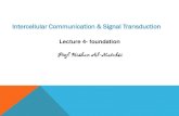 Intercellular Communication & Signal Transduction - G1MCST