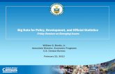 Big Data for Policy, Development, and Official Statistics