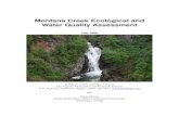 Montana Creek Impact Assessment - DEC Home