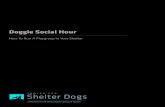 Doggie Social Hour