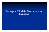 Larkspur Alkaloid Structure and Function