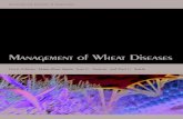 Management of Wheat Diseases