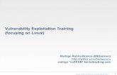 Vulnerability Exploitation Training (focusing on Linux)