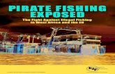 PIRATE FISHING EXPOSED - Home | Environmental Justice Foundation (EJF)