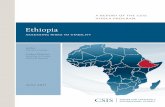 Ethiopia: Assessing Risks to Stability - Center for Strategic and