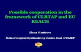 Possible cooperation in the framework of CLRTAP and EU REACH