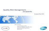 Quality Risk Management: Excipients