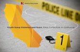 Youth Gang Violence and Guns: Data Collection in California
