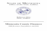 Minnesota County Finances