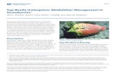 Sap Beetle (Coleoptera: Nitidulidae) Management in Strawberries1