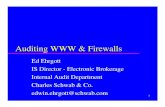 Auditing WWW & Firewalls