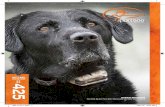 WETLAND - Dog Training Collars for Hunting Dogs, Gun Dogs