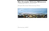 Rio Grande Silvery Minnow - U.S. Fish and Wildlife Service