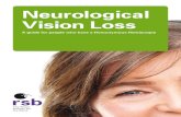 Neurological Vision Loss