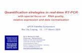 Quantification Strategies in real-time PCR