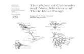 The Ribes of Colorado and New Mexico and their rust fungi
