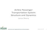 Passenger Transportation System: Structure and Dynamics