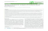 Shotgun proteomic analysis of mulberry dwarf phytoplasma