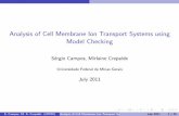 Analysis of Cell Membrane Ion Transport Systems using Model Checking