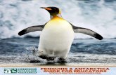 Penguins & AntArcticA guide for educAtors