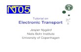 Tutorial on Electronic Transport