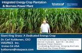 Integrated Energy Crop Plantation & Biomass Power Plant