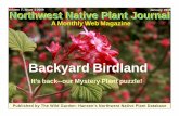 Backyard Birdland