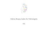 KidneyBiopsyCodes for Pathologists - ERKNet · 2018. 11. 28. · NNR 2013 300 IgA nefropati NNR 2011 3 IgA nefropati NORWEGIAN RENAL REGISTRY (NNR) ERA-EDTA PRD 1128 IgA nephropathy