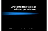 Anatomi dan Fisiologi saluran pernafasan - · PDF file 2009. 1. 13. · Anatomi dan Fisiologi saluran pernafasan. 1/9/2009 Zullies Ikawati's Lecture Notes 2 Anatomi Sistem Pernafasan