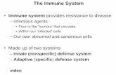 Immune system provides resistance to disease...Part 2 –Adaptive Defenses Adaptive immune system is a specific defensive system • eliminates almost any pathogen or abnormal cell