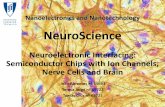 Neuroelectronic Interfacing: Semiconductor Chips with Ion ......field-efect transistors. 33 Nanoelectronics and Nanotechnology – 1st Semester 2011/2012 – MEFT NeuroScience Transistor