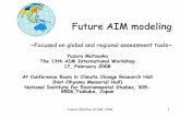 Future AIM modeling · 2020. 2. 6. · FB:feedback LAN: landuse Global temperature CH 4 concentration → SH2O Productivity and heterogeneous respiration: HRBM/CTBM/FBM/4box biosphere
