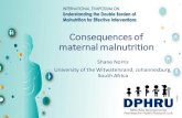 Consequences of maternal malnutrition...Impaired fetal development Stunted undernourished mother Undernourished Infant and child Macrosomia Altered fuels to the fetus Hyperglyceamia
