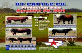 BT CATTLE COBT CATTLE CO. Production Sale November 22, 2014 Mid-Tex Livestock Auction • Navasota, Texas Selling 60 Two-year-old Hereford Bulls 12 Two-year-old Angus Bulls 20 Registered