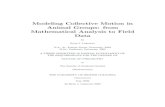 Modeling Collective Motion in Animal Groups: from Mathematical … · 2019. 1. 23. · Modeling Collective Motion in Animal Groups: from Mathematical Analysis to Field Data by Ryan
