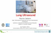 Lung Ultrasound - WordPress.com · 2020. 4. 16. · A simplified echocardiography without Doppler can be associated with the BLUE protocol. The BLUE protocol can be adapted to multiple