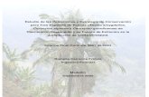 Revisin de literatura& Cadena 2003). El conocimiento sobre la flora y la vegetación de las montañas andinas (“bosques ... Interinstitucional de Flora y Fauna Silvestre de Antioquia