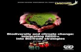 Biodiversity and climate change: Integrating REDD+ into BioTrade strategies … · 2020. 9. 2. · Biodiversity and climate change: Integrating REDD+ into BioTrade strategies UNITED