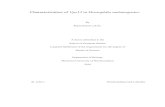 Characterization of Vps13 in Drosophila melanogaster · 2020. 7. 9. · Characterization of Vps13 in Drosophila melanogaster By Kiana Kasravi, B.Sc. A thesis submitted to the School