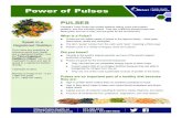 Power of Pulses - Ottawa Public Health...Power of Pulses PULSES Canada's Food Guide has shifted towards eating more plant-based proteins, and this includes pulses. They are nutritional