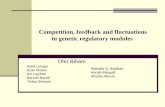 Competition, feedback and fluctuations in genetic regulatory ......Competition, feedback and fluctuations in genetic regulatory modules Ofer Biham Adiel Loinger Eitan Rotem Azi Lipshtat