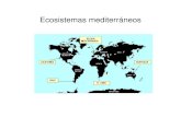 Bio11 clase6 2011-08-18 · 2011. 10. 20. · ECOSISTEMAS MEDITERRÁNEOSECOSISTEMAS MEDITERRÁNEOS. Clima mediterráneo. Clima mediterráneo. Paisajes mediterráneos. Terra rosa. PASTIZAL