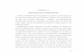 CAPITULO I V RESULTADOS DE LA INVESTIGACIÓNvirtual.urbe.edu/tesispub/0094597/cap04.pdf · 2013. 2. 15. · RESULTADOS DE LA INVESTIGACIÓN ... recobro, surge la opción de la extracción