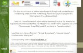 Sobre a ocorrência de fungos entomopatogénicos e de ...data.over-blog-kiwi.com/0/93/91/74/20141126/ob_4e32c8...2014/11/26  · Entre Douro e Minho Trás-os-Montes Madeira Ribatejo