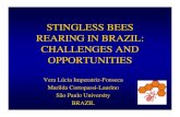STINGLESS BEES REARING IN BRAZIL: CHALLENGES AND … · 2014. 2. 24. · Hobby Colonias Miel. Melipona subnitida: breeding. Stingless bees trading products honey and colonies Colonies