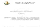 CITTÀ DI ROSARNO - Kibernetes · 2021. 8. 5. · degli interventi oggetto di finanziamento del POR Calabria FESR 2007/2013 – Asse VIII città – Obiettivo Specifico 8.1 – Obiettivi