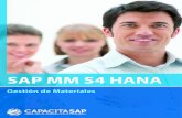 SAP MM S4 HANA• Introducción al Proceso de Abastecimiento y adquisición. • Estructura Organizativa • Business Partner • Registros info de compras • Solicitud de Pedido