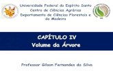 CAPÍTULO IV Volume da Árvore · 2015. 10. 6. · 1 – Razões para se medir o volume de uma árvore Para apurar a produção de áreas florestais, de modo a se avaliar a viabilidade